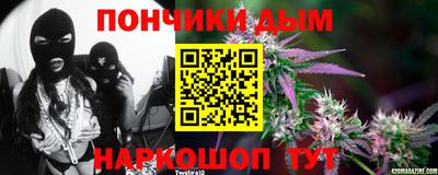 Альфа ПВП Можга