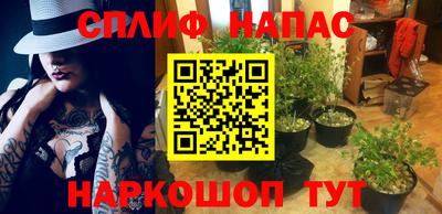 трава Моздок
