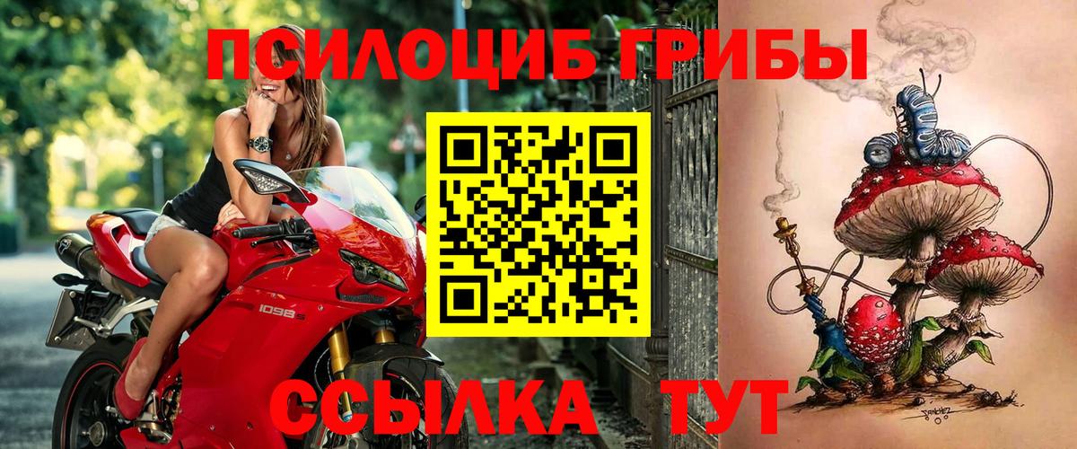 Псилоцибиновые грибы Psilocybe  Псилоцибиновые грибы MAGIC MUSHROOMS  Вход с VPN  Фрязино 