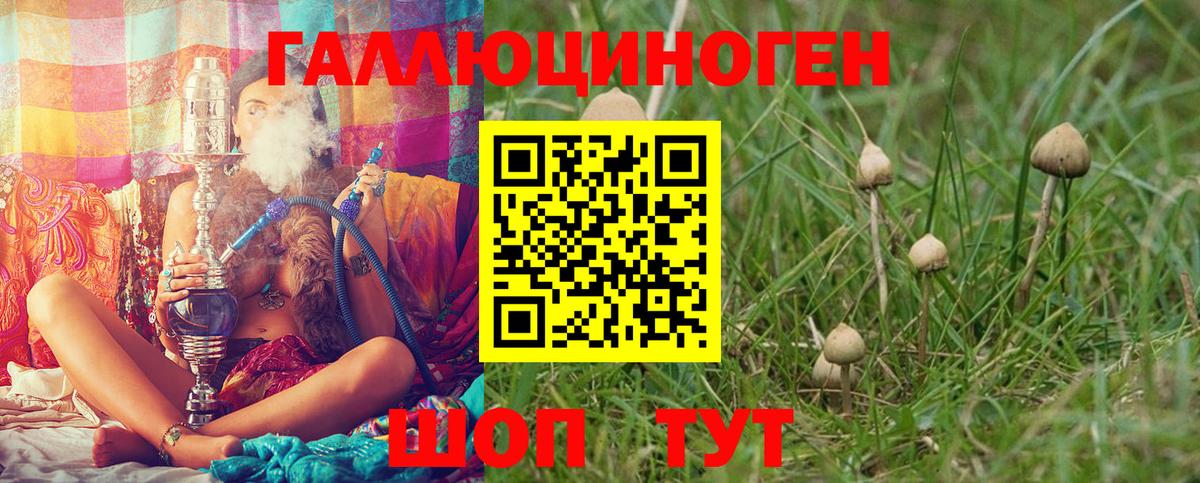 Галлюциногенные грибы MAGIC MUSHROOMS Фрязино